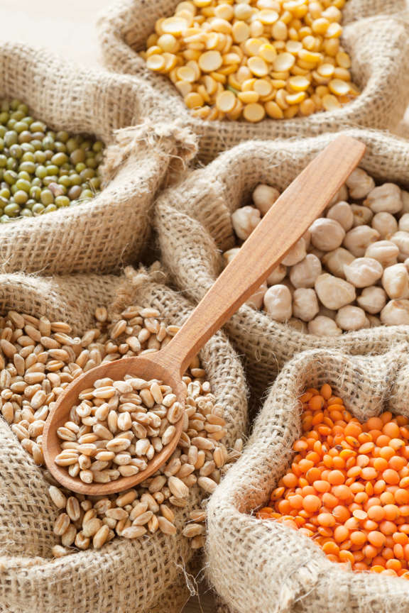 Selection of premium ingredients