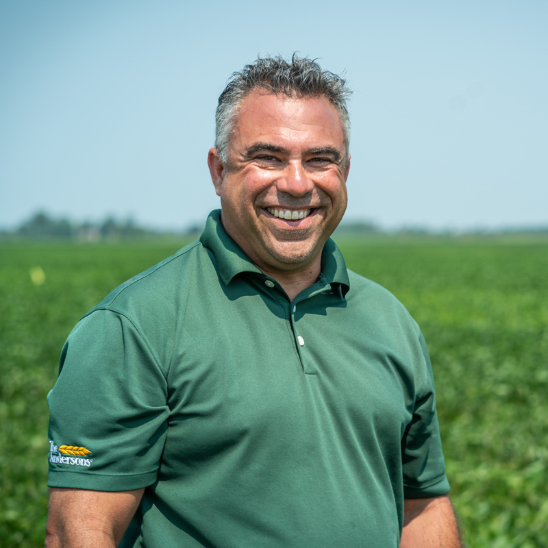 Individual standing in a soybean test plot